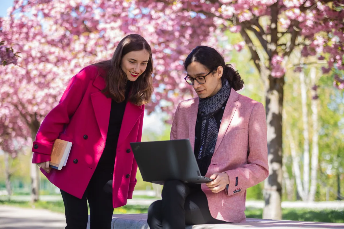 Two students look at a laptop together under blossoming cherry trees